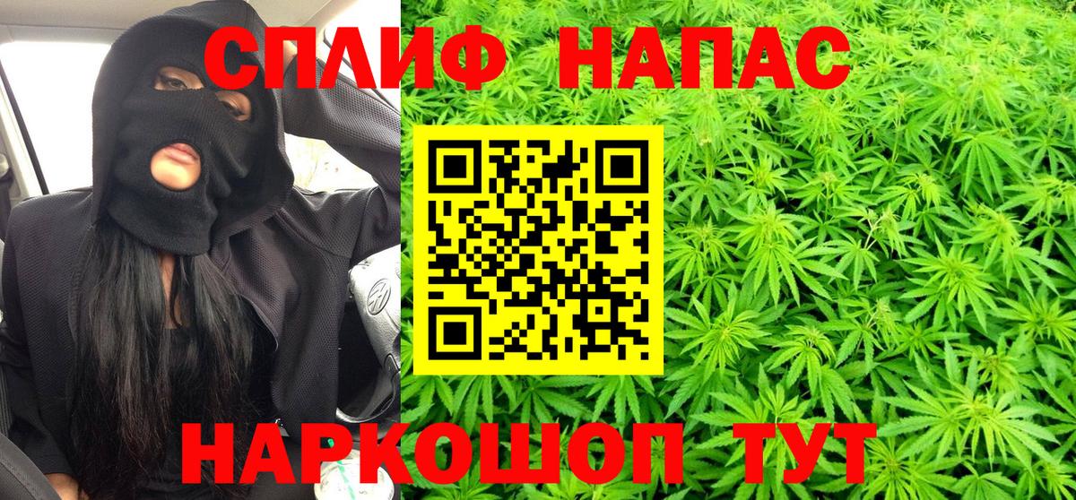 Каннабис планчик  Вход с VPN  Бошки Шишки VHQ  Тюмень  Каннабис планчик  Канабис THC 21% 
